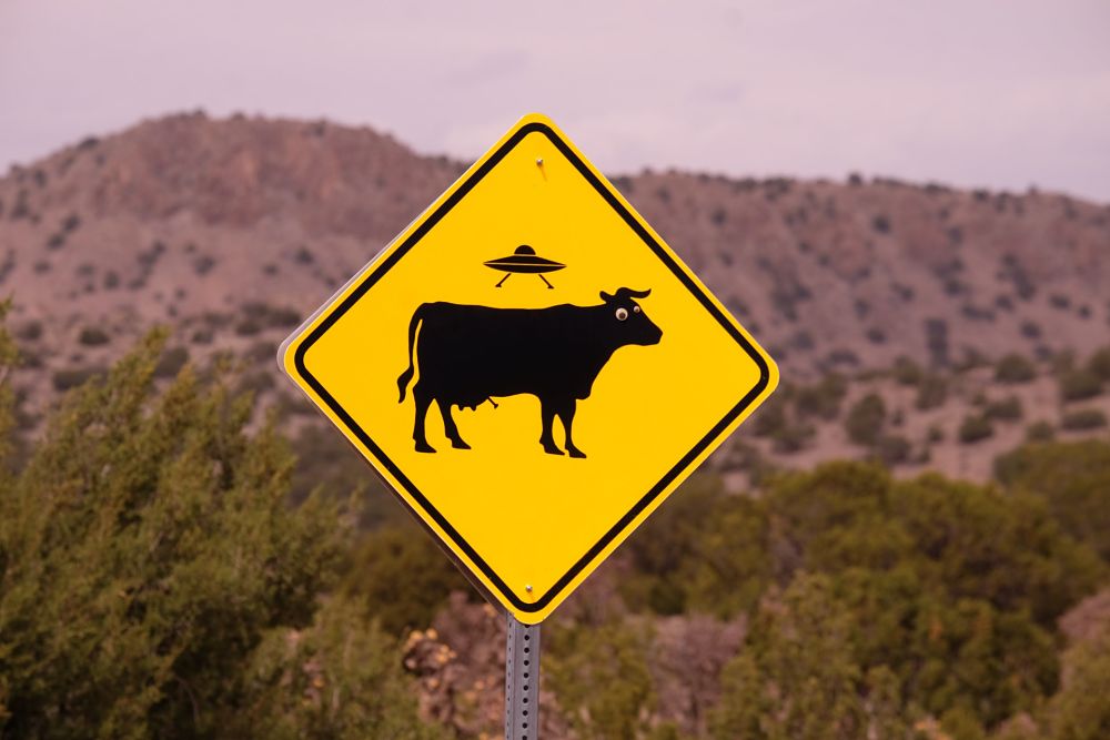 UFO cow sign USA