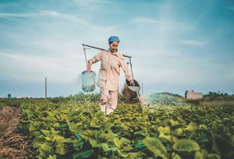 vietnamese-farmer