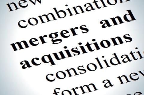 Cultural Differences in International Merger and Acquisitions