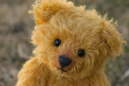 teddy-bear-image