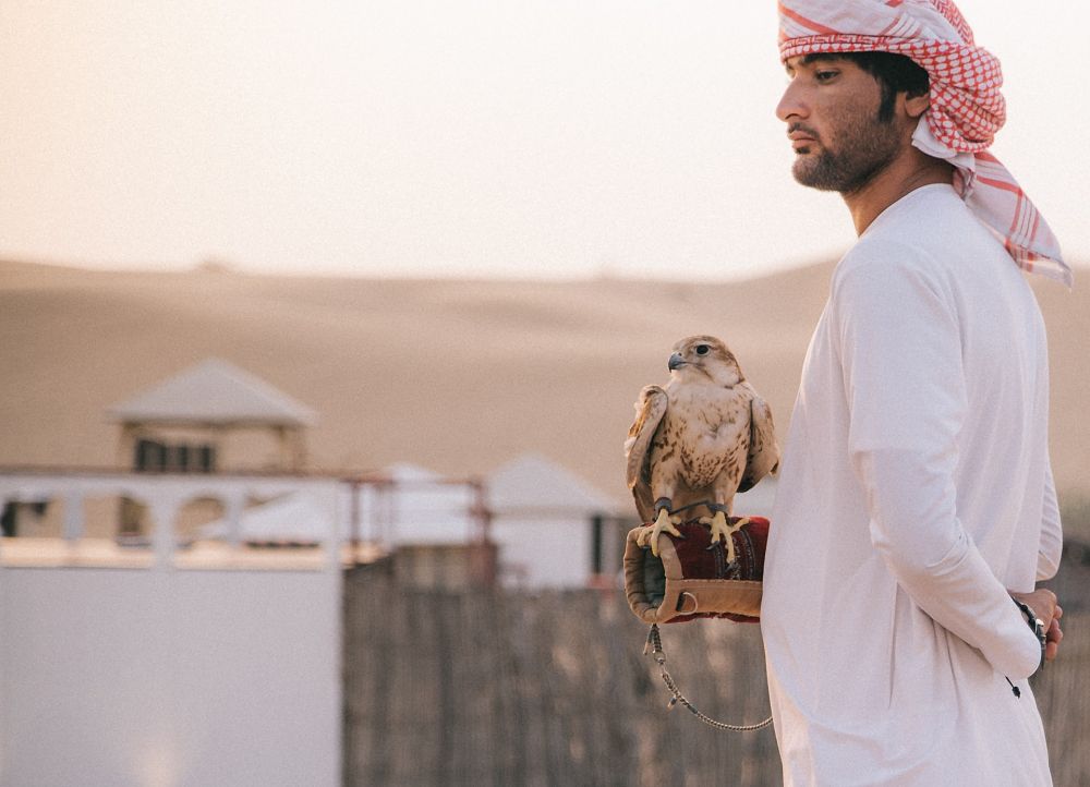 Emirati man in desert with hunting bird