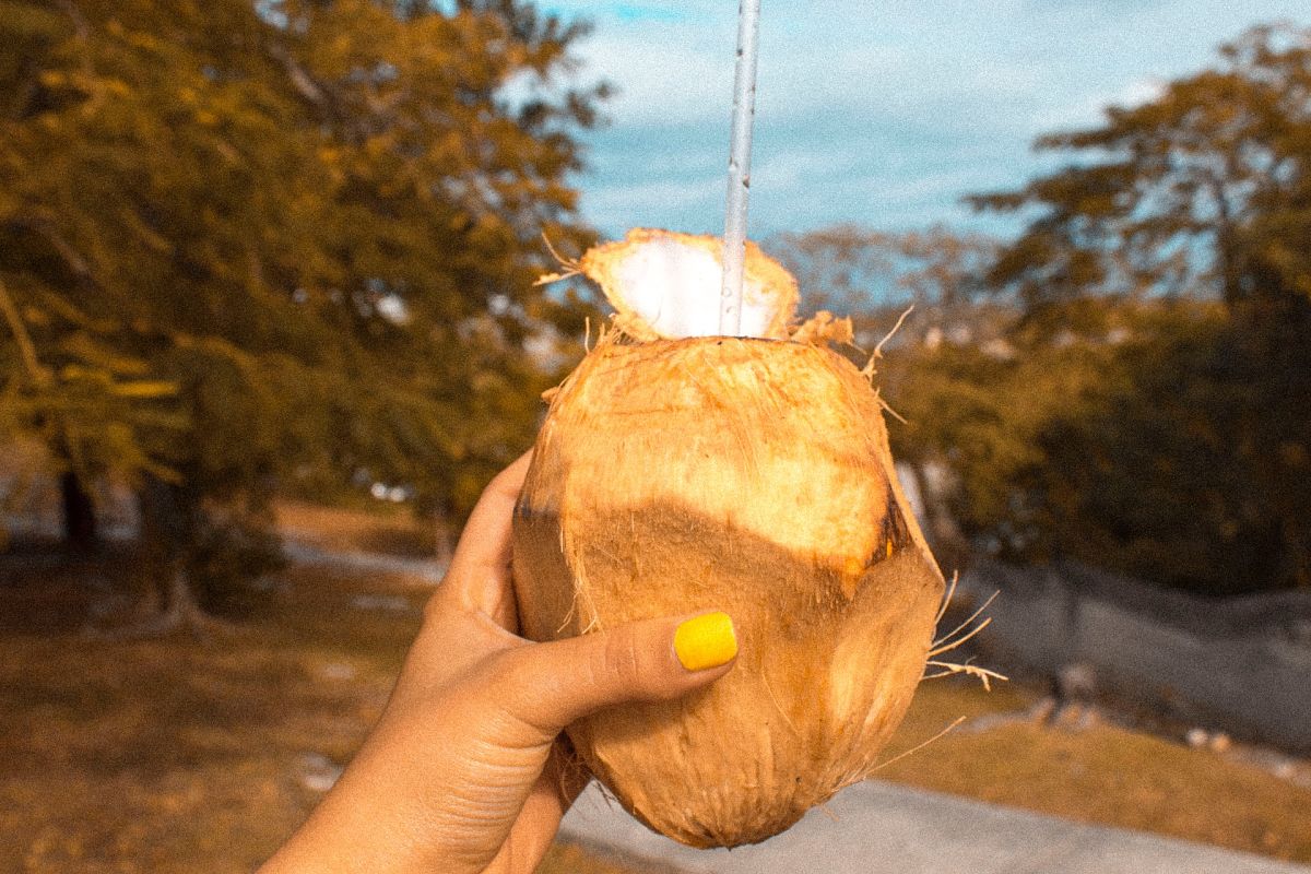 girl holding fresh coconut in the bahamas
