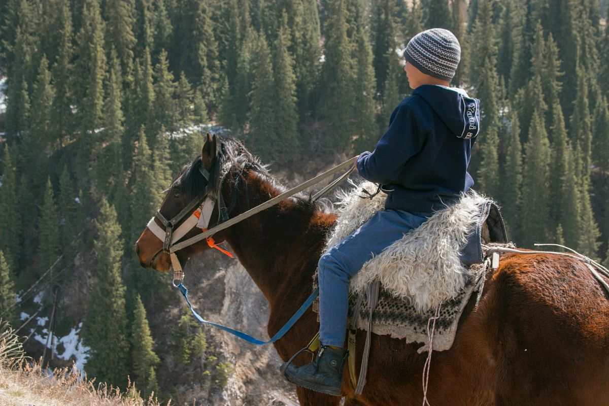 kazakh boy on horse