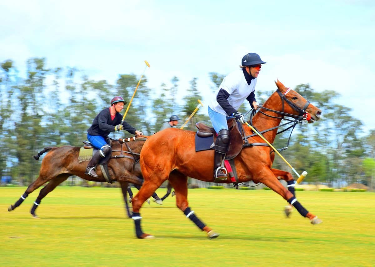playing polo argentina