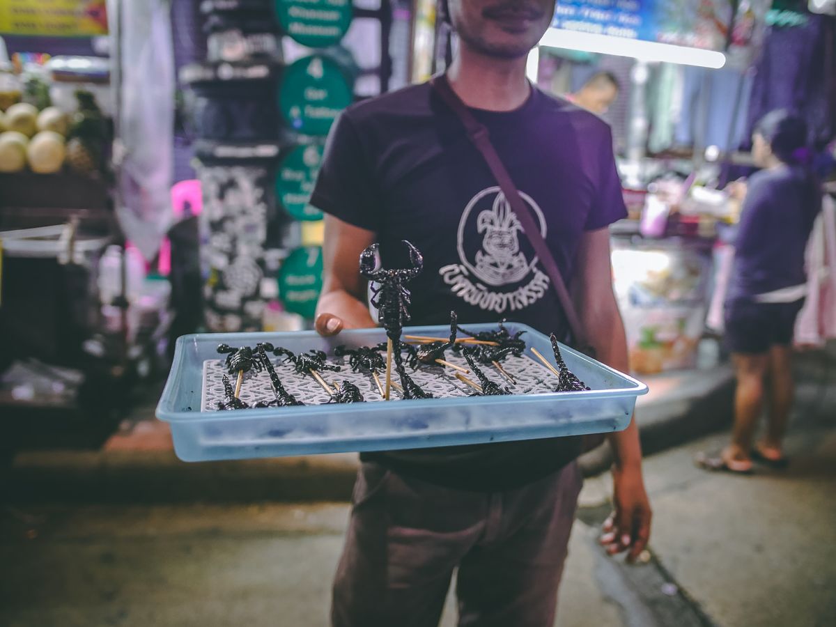 selling scorpions thailand